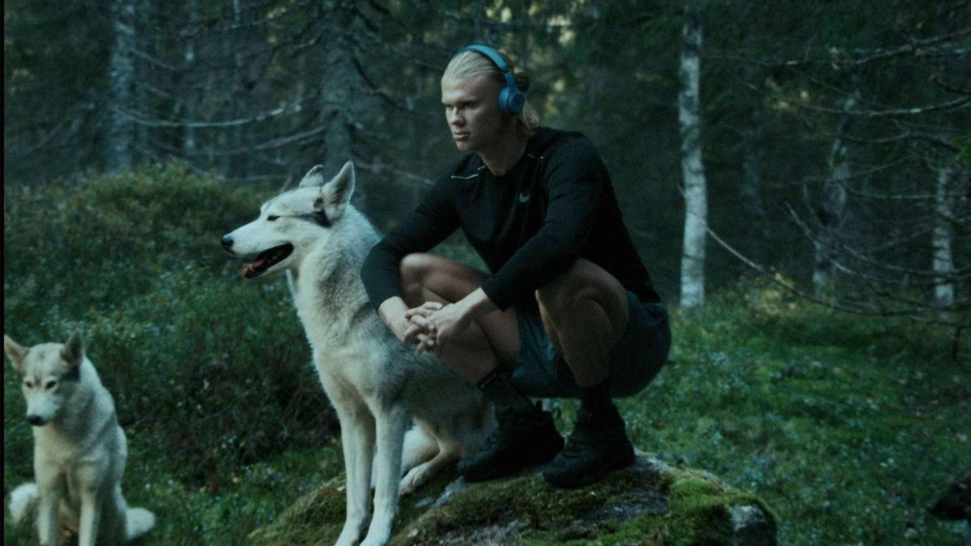 业辅助工具 业辅助工具