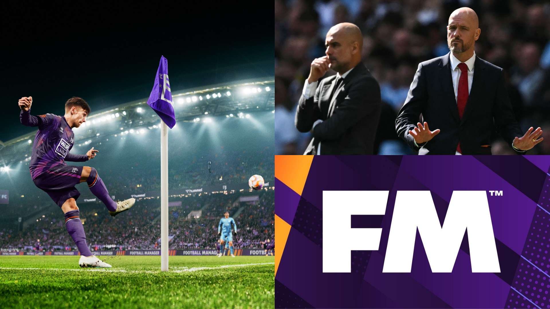 的完美结合 的完美结合